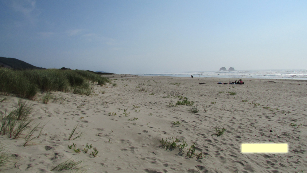 Rockaway Beach RV Park Gallery photo 21